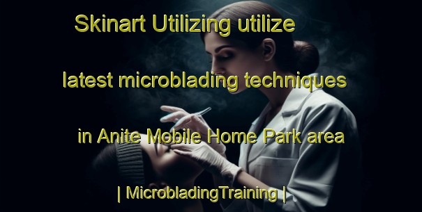 Skinart Utilizing utilize latest microblading techniques in Anite Mobile Home Park area | MicrobladingTraining | MicrobladingClasses | SkinartTraining-United States